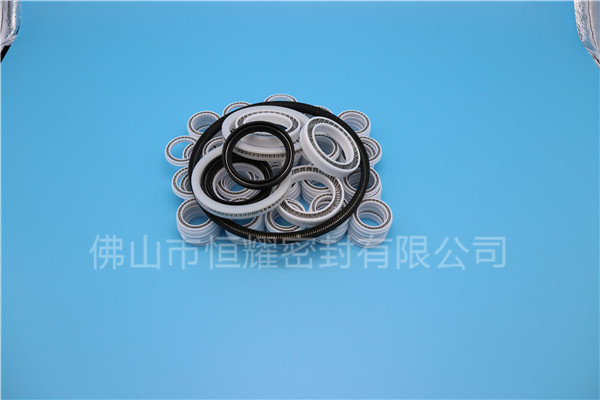 HOB、HVB孔用泛塞封 (7)