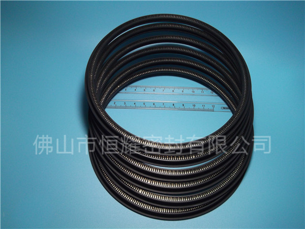HOD、HVD旋轉(zhuǎn)泛塞封 (12)