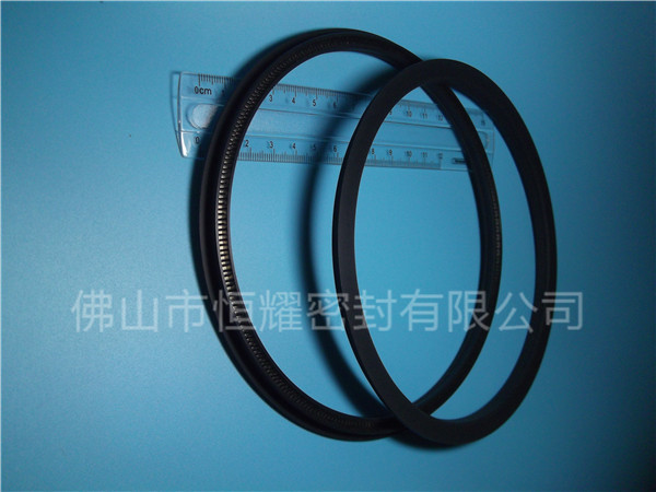 HOD、HVD旋轉(zhuǎn)泛塞封 (15)