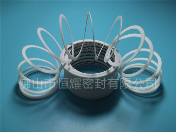 HVF、HVG端面內(nèi)、外向泛塞封 (7)