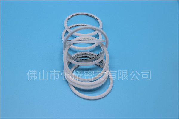 HVF、HVG端面內(nèi)、外向泛塞封 (15)