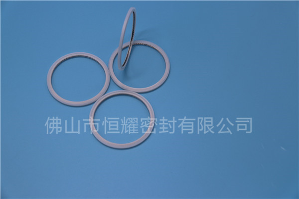 HVF、HVG端面內(nèi)、外向泛塞封 (20)