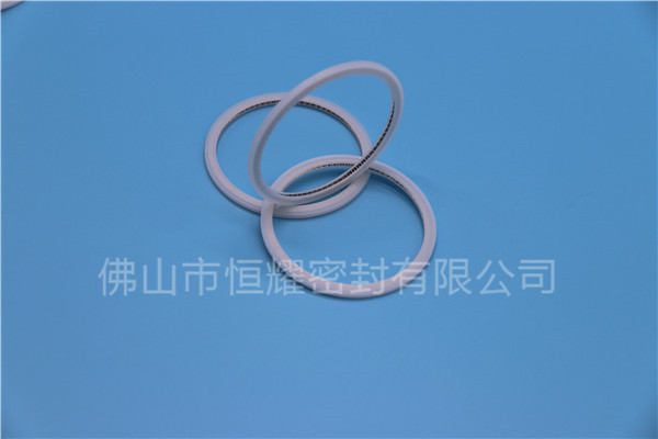 HVF、HVG端面內(nèi)、外向泛塞封 (21)
