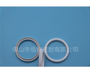 HOA、HVA軸用泛塞封 (16)