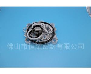 HOB、HVB孔用泛塞封 (6)