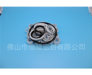 HOB、HVB孔用泛塞封 (7)