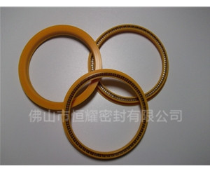 HOD、HVD旋轉(zhuǎn)泛塞封 (8)