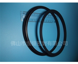 HOD、HVD旋轉(zhuǎn)泛塞封 (15)