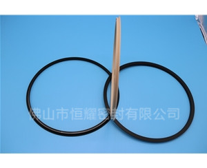 HOD、HVD旋轉(zhuǎn)泛塞封 (18)