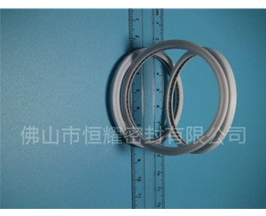 HVF、HVG端面內(nèi)、外向泛塞封 (6)
