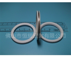 HVF、HVG端面內(nèi)、外向泛塞封 (10)