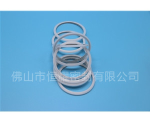 HVF、HVG端面內(nèi)、外向泛塞封 (15)