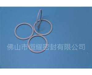HVF、HVG端面內(nèi)、外向泛塞封 (20)
