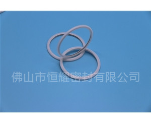 HVF、HVG端面內(nèi)、外向泛塞封 (21)
