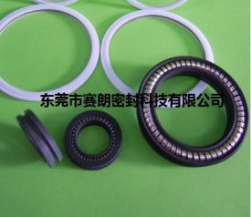 彈簧密封圈